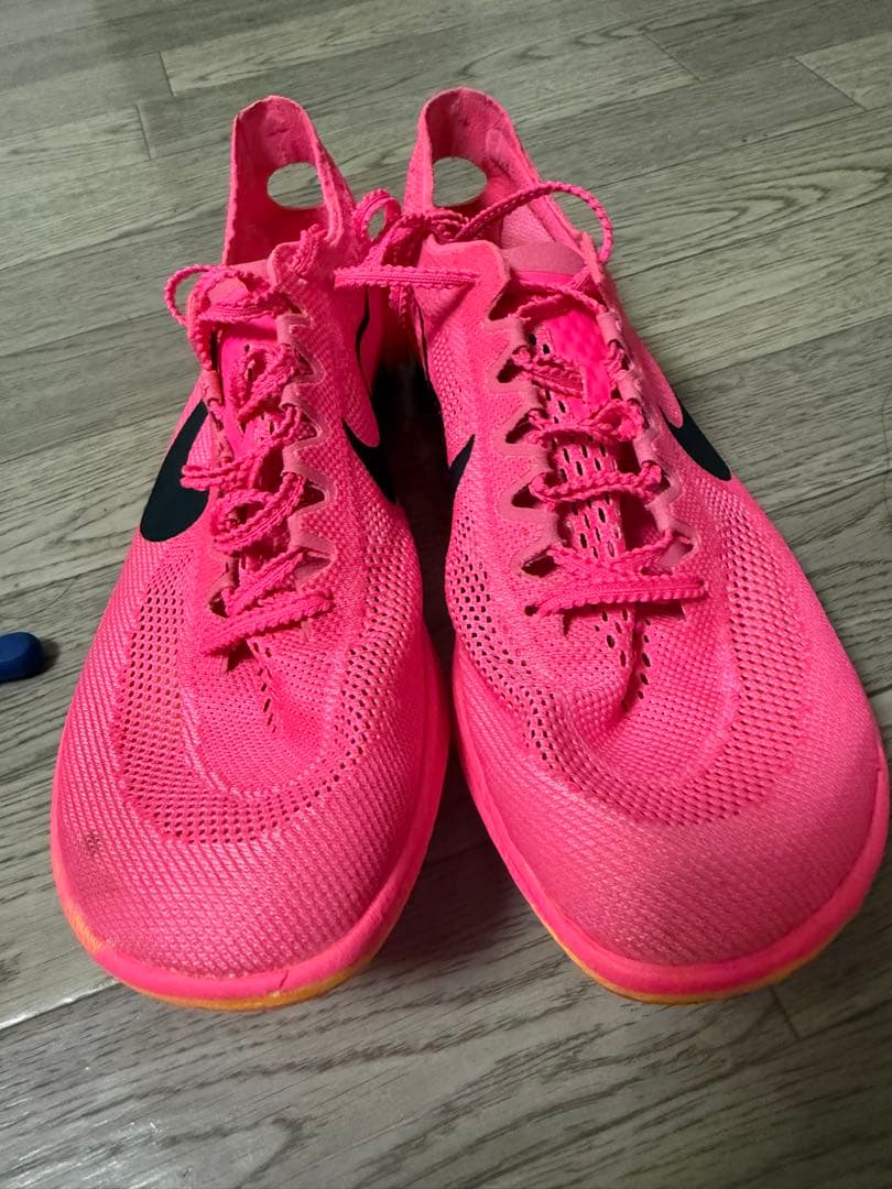 Nike ドラゴンフライ【25.0】