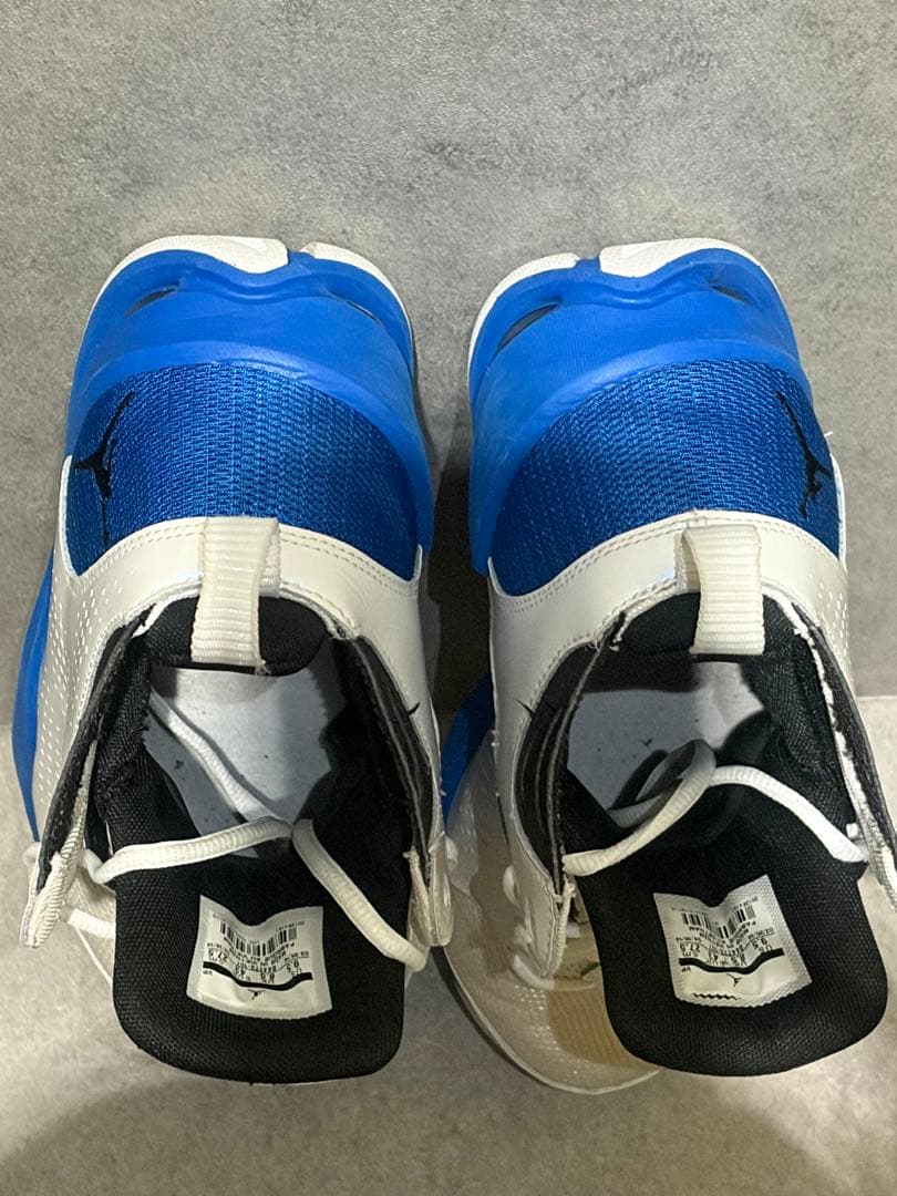 NIKE JORDAN ACE 23 Ⅱ (ジョーダン エース 23 2)