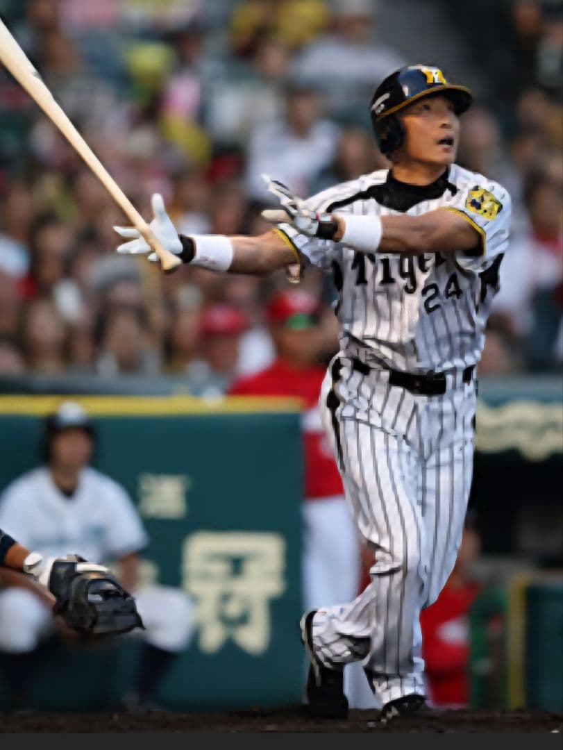 桧山進次郎24★阪神タイガース・2013年 ユニフォーム★Oサイズ