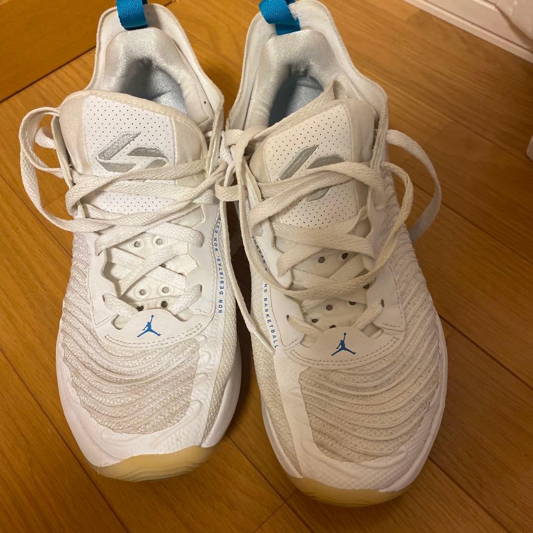 Jordan ルカ1 27.5cm