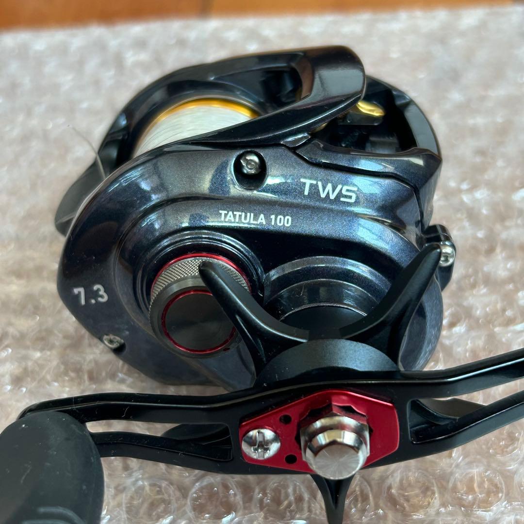 ダイワ タトゥーラ 100 TWS