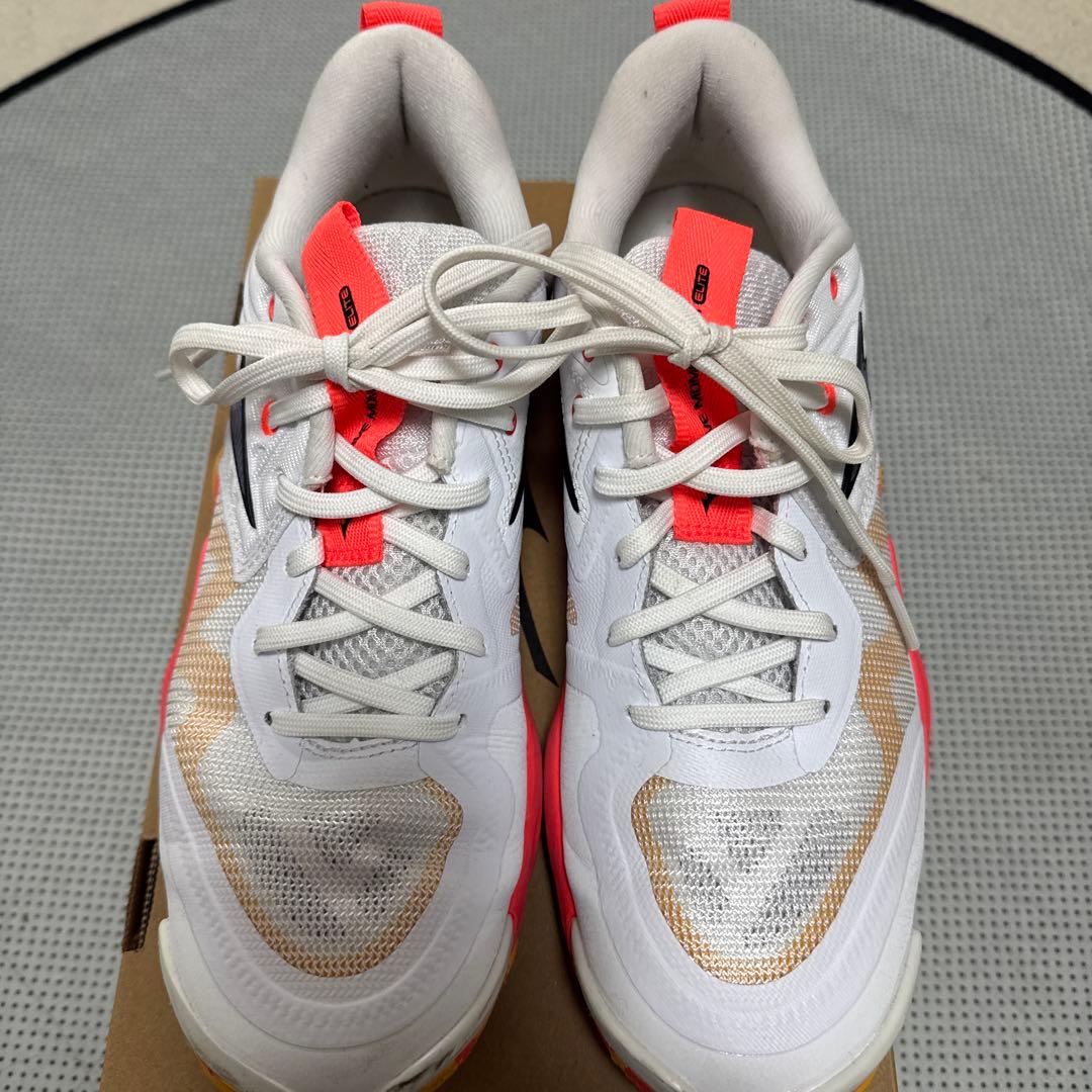 シューズ Mizuno WAVE MOMENTUM ELITE 25cm