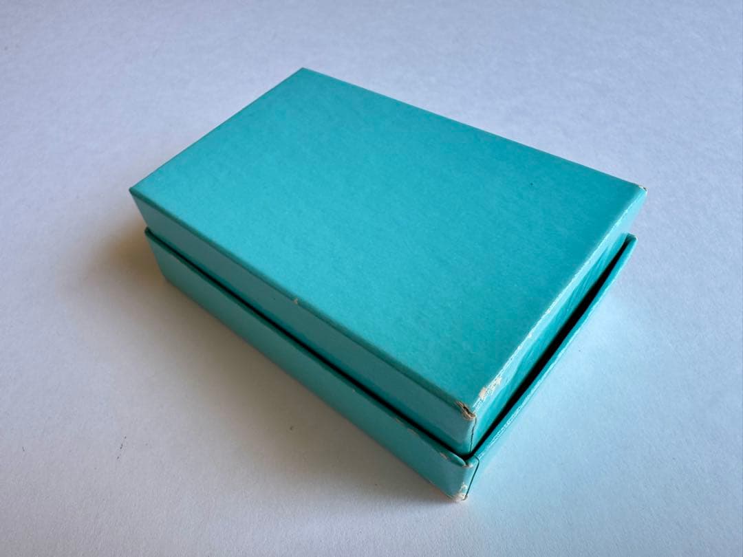 新品⭐︎TIFFANY＆CO. ティファニー ゴルフティー SILVER 925