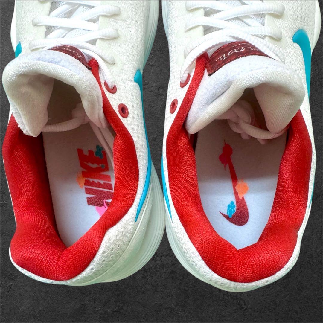 日本 未発売 28.5 NIKE ナイキ ハイパーダンクロー 2017 ドラゴン
