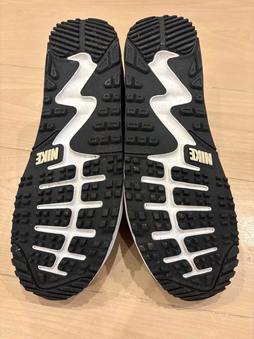 ナイキ (NIKE) 「エア マックス 90 G (AIR MAX 90 G)」