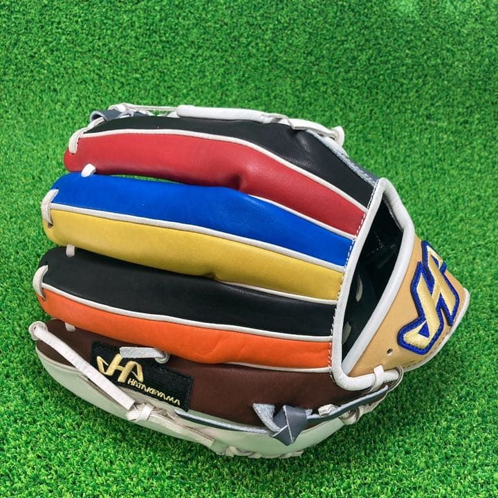 HATAKEYAMA ハタケヤマ　内野手用 内野用 硬式グローブ 右投げ　251