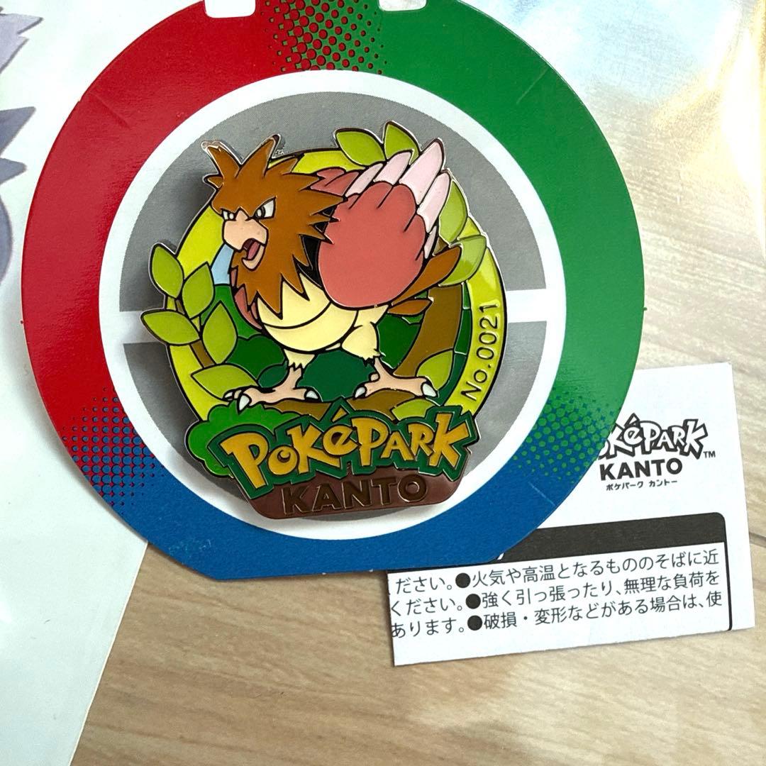 ポケパークカントー 限定　ピンズ　12個セット　未使用ショッパー　おまけ付き