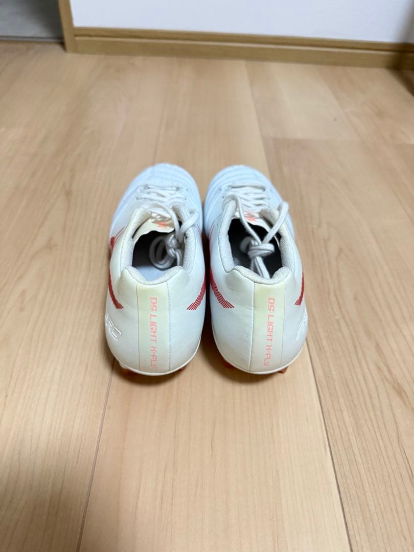 シューズ DS LIGHT x-fly pro