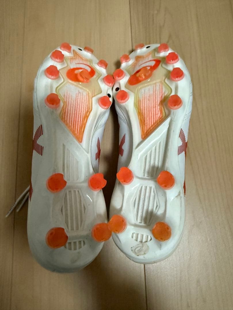 シューズ DS LIGHT x-fly pro