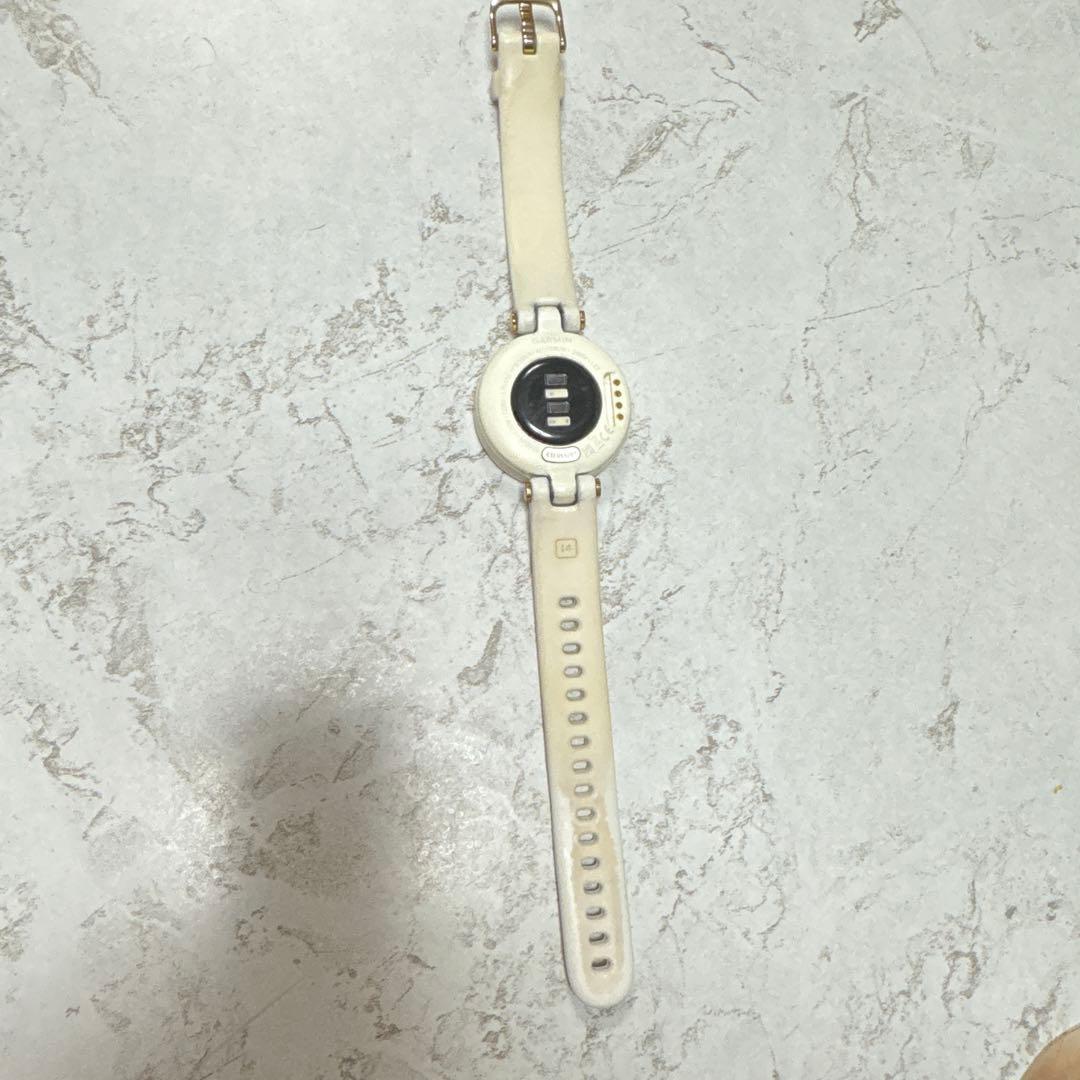 GARMINリリー