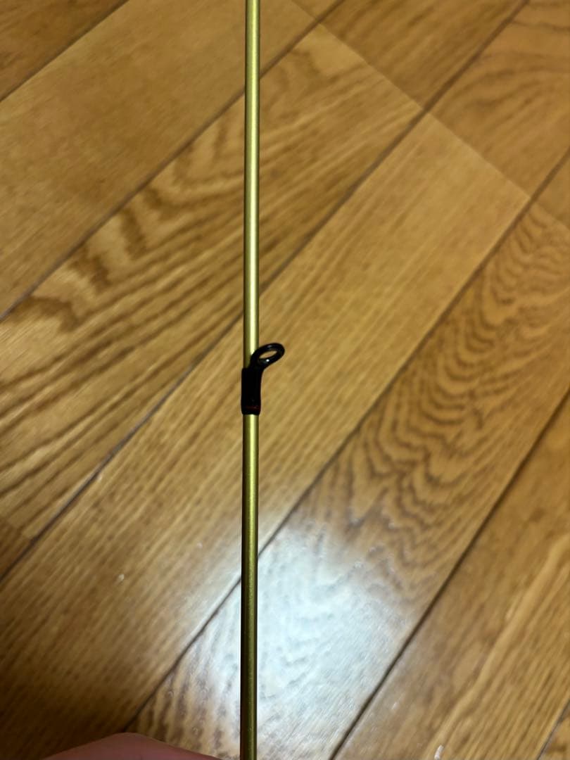 ダイワ　月下美人EX AGS 76UL-S