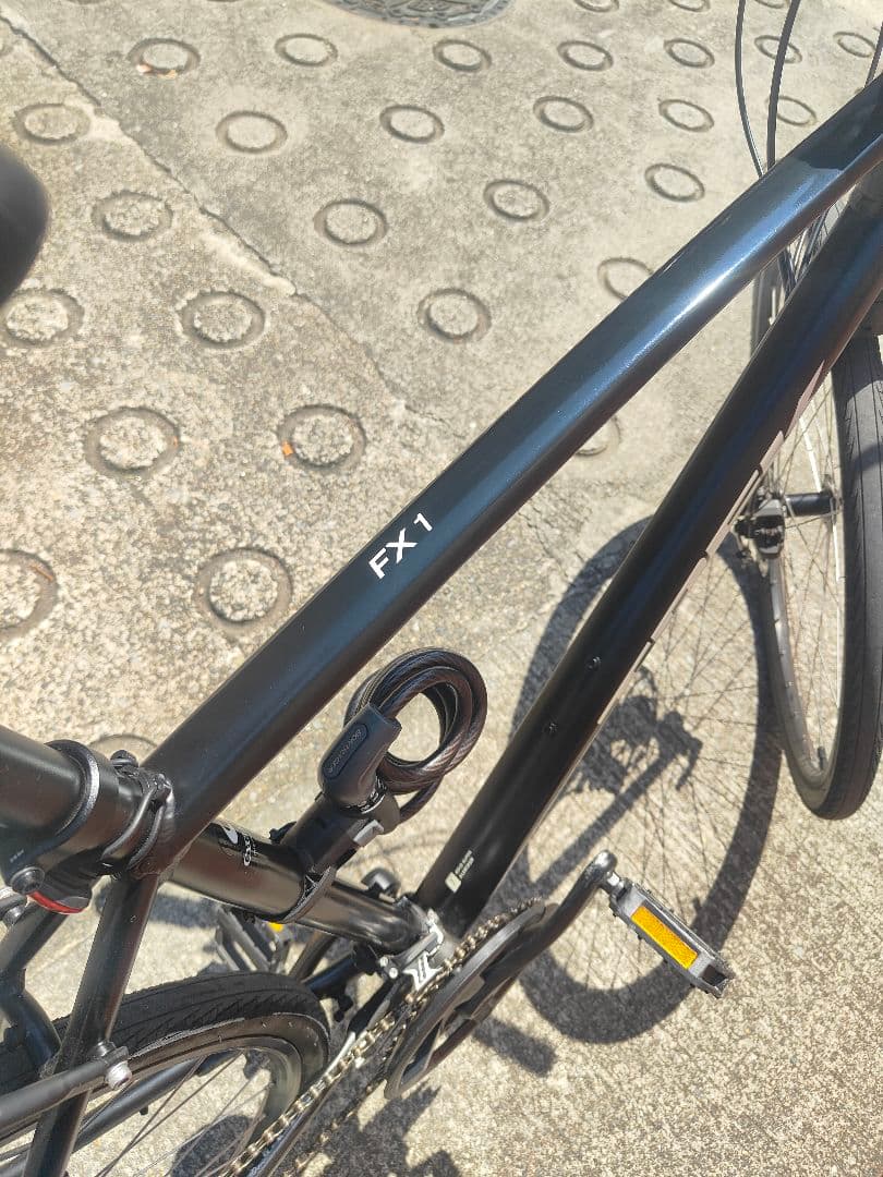Trek FX1 Disc Satin Trek Black Lサイズ