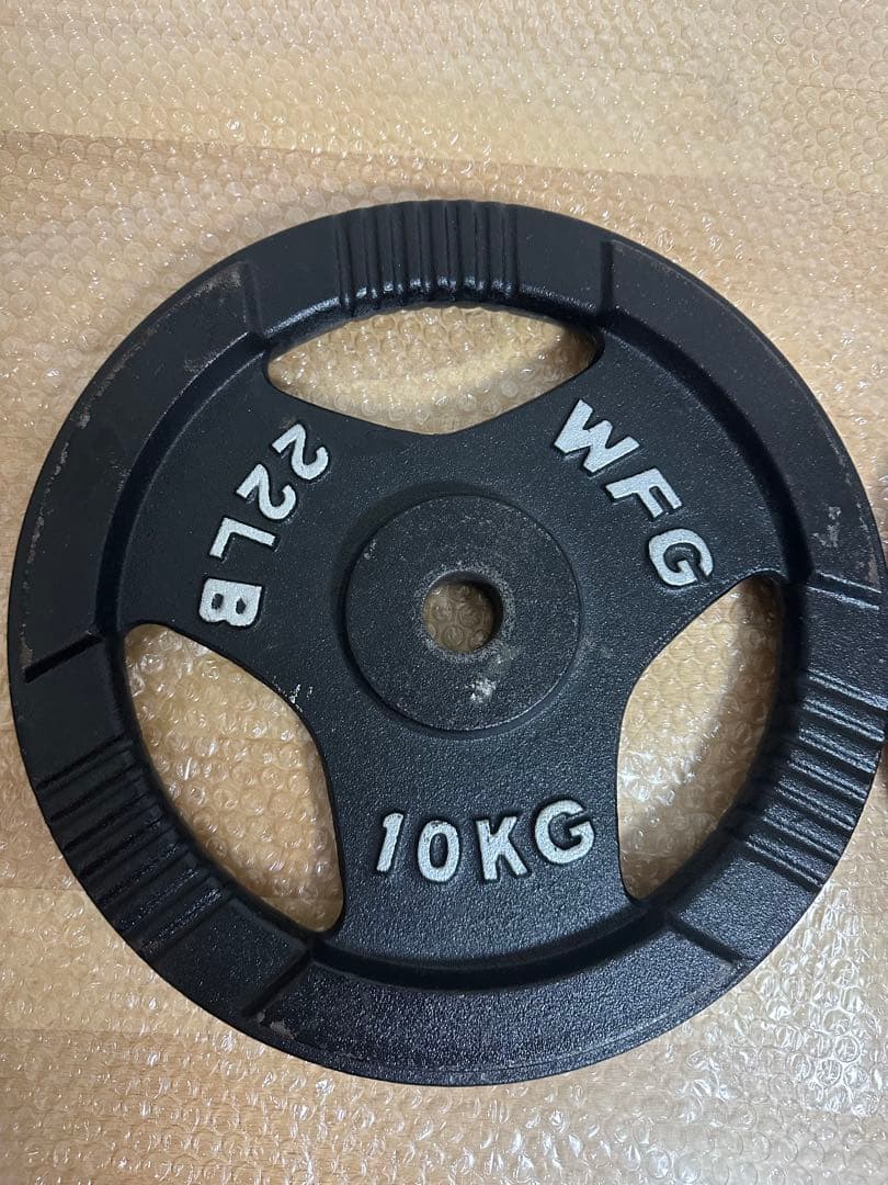 早い者勝ち WFG ワイルドフィット アイアンプレート 穴径10kg 2枚組