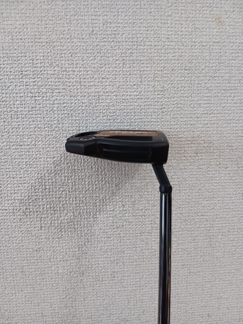 クラブ TaylorMade Spider Tour X