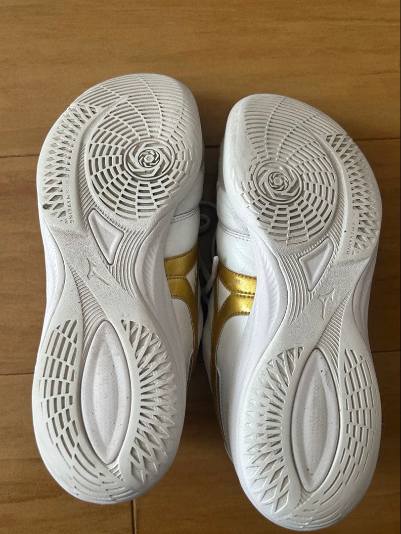 Mizuno Professional Model モレリア 24.0