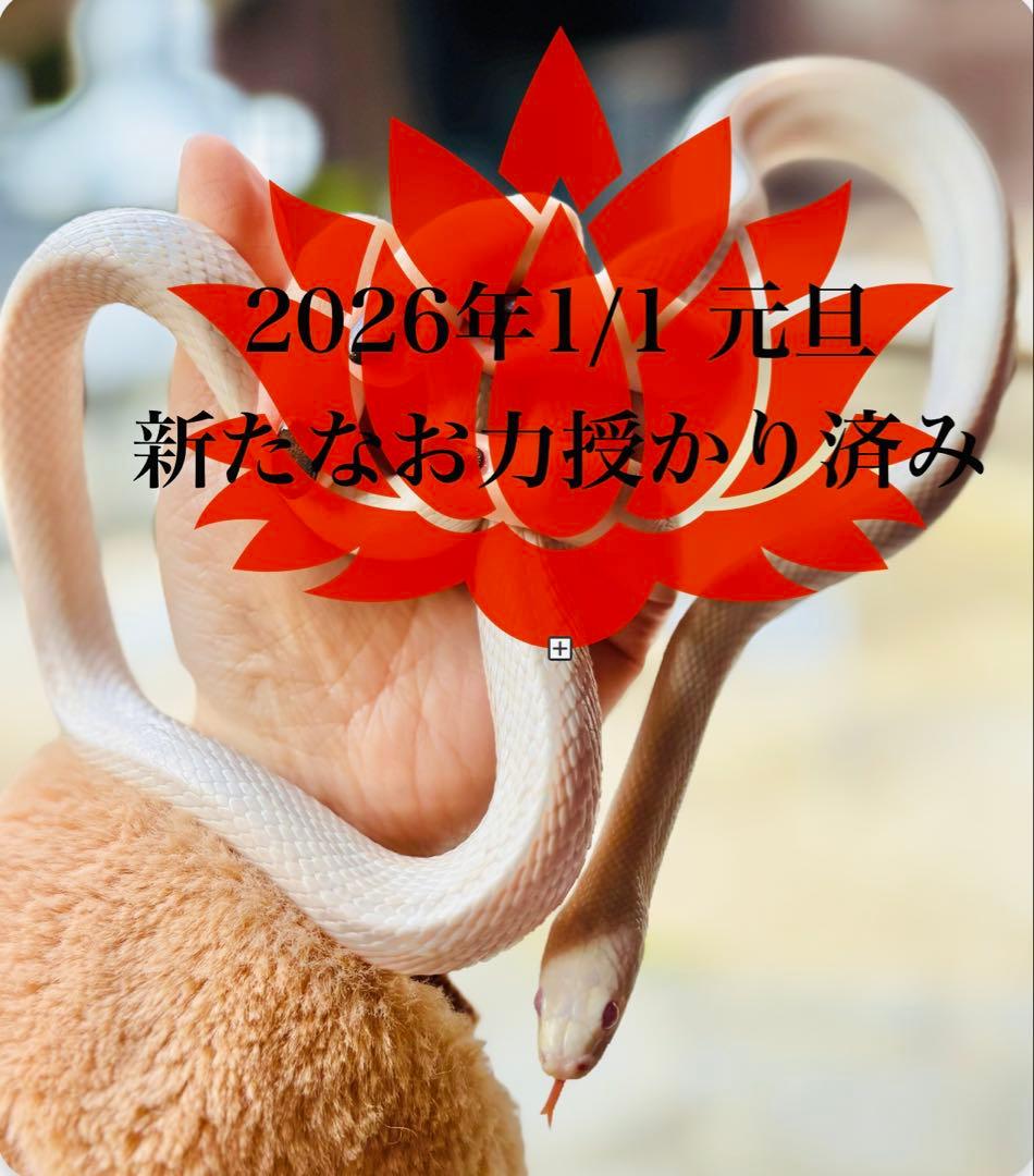 レア♥虹入♥3つの石が共生♥天使のギフト♥運命の出逢い引き寄せ♥天使のプレゼント