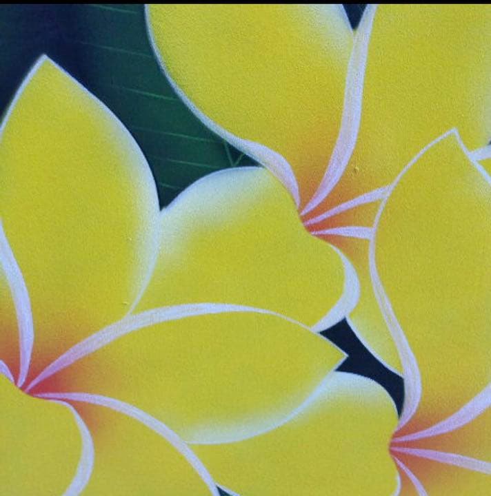 プルメリア  絵画　80x60 ハワイアン  リゾート　バリアート