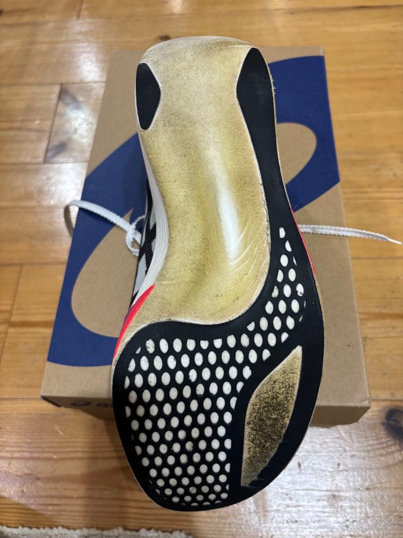 ASICS  Speed Rayアシックスメタスピードレイ27.5 cm