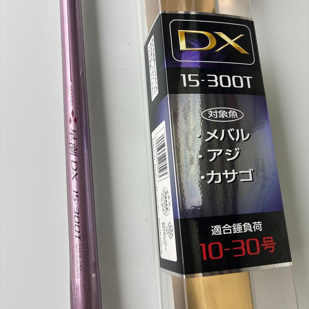 インターライン早潮DX 15-300T