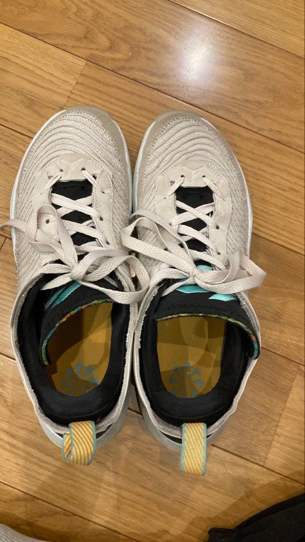 ジョーダン ルカ1Jordan MOVE TO ZERO