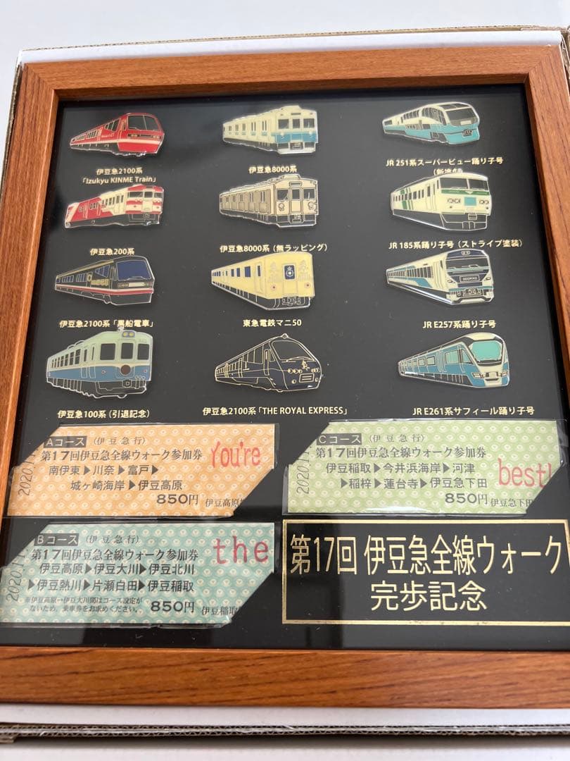 伊豆急全線ウォーク 完歩記念 ピンバッチ