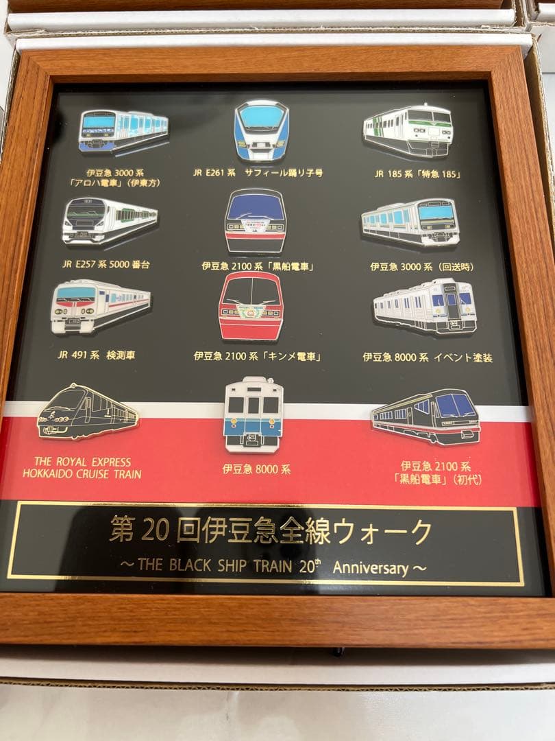 伊豆急全線ウォーク 完歩記念 ピンバッチ