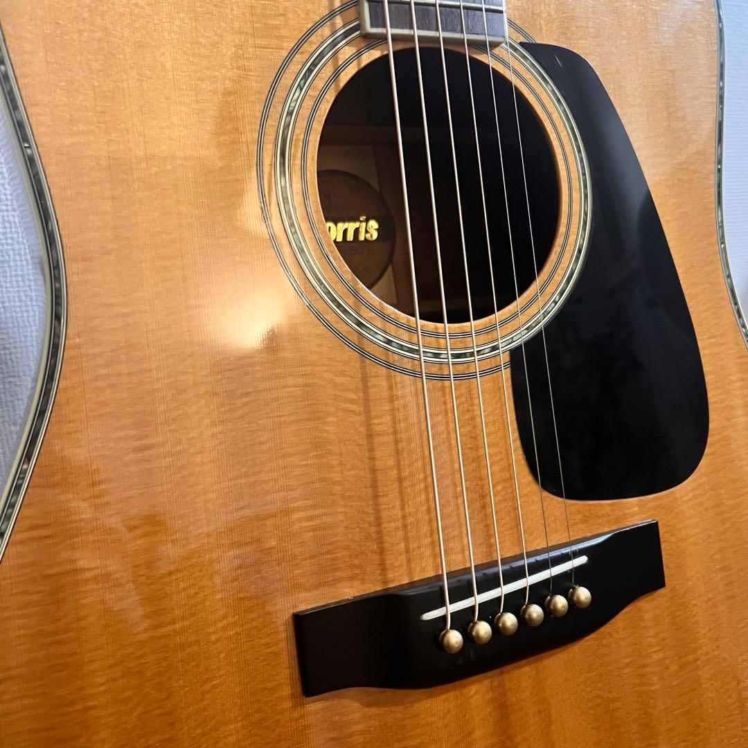 【美品】Morris TF-801 ハカランダ ／新品弦、純正ケース