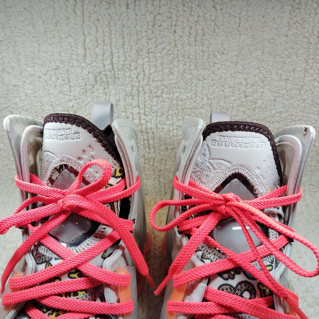 【未使用級】Nike Lebron 9 　Watch the Throne 27