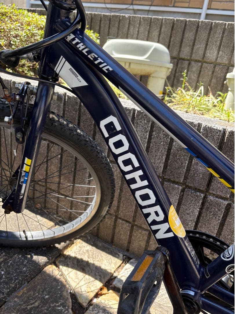 22インチ　自転車　子供　COGHORN miami