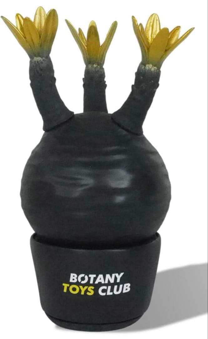 新品⭐︎限定カラー BOTANY TOYS CLUB パキポディウム グラキリス⭐︎