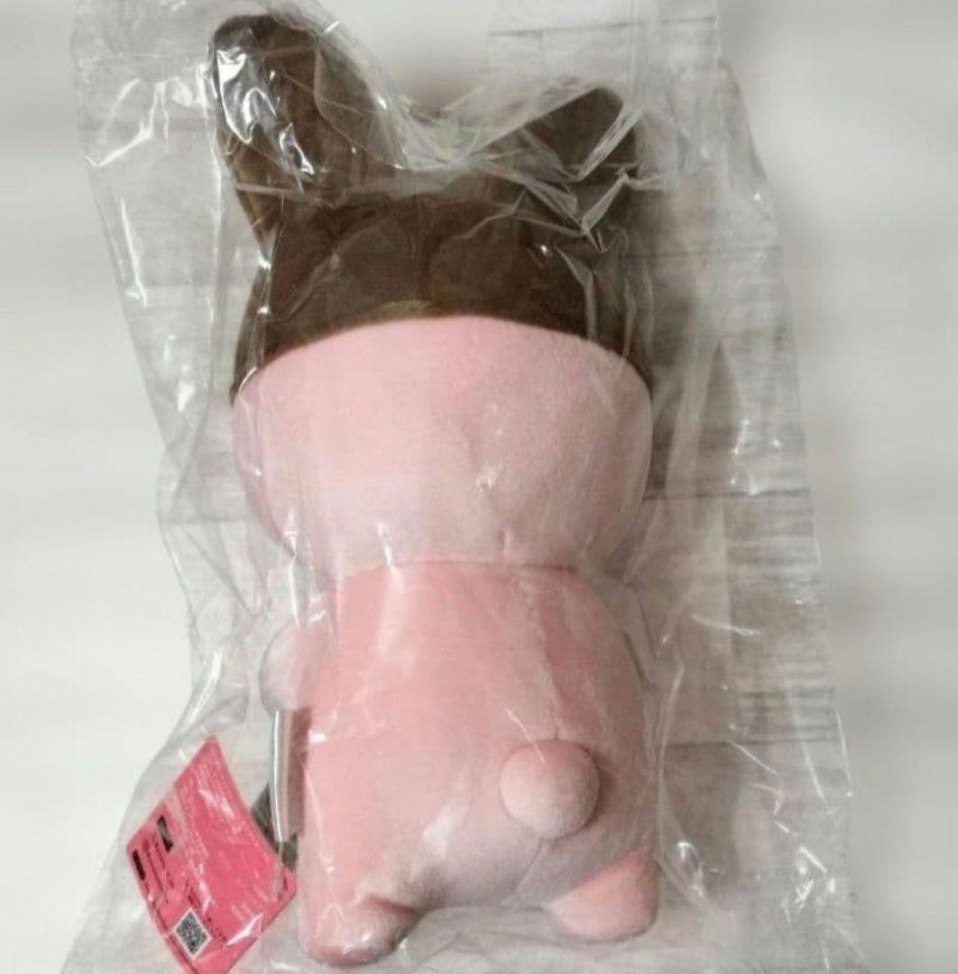 新品未開封 アポロちゃん 55周年Amazon限定 ぬいぐるみ