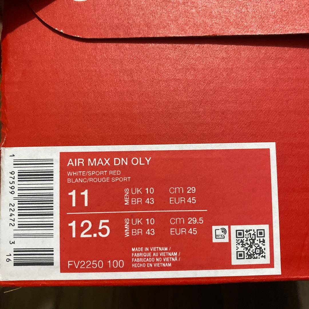 シューズ(男性用) Nike Air Max DN \"USA\"
