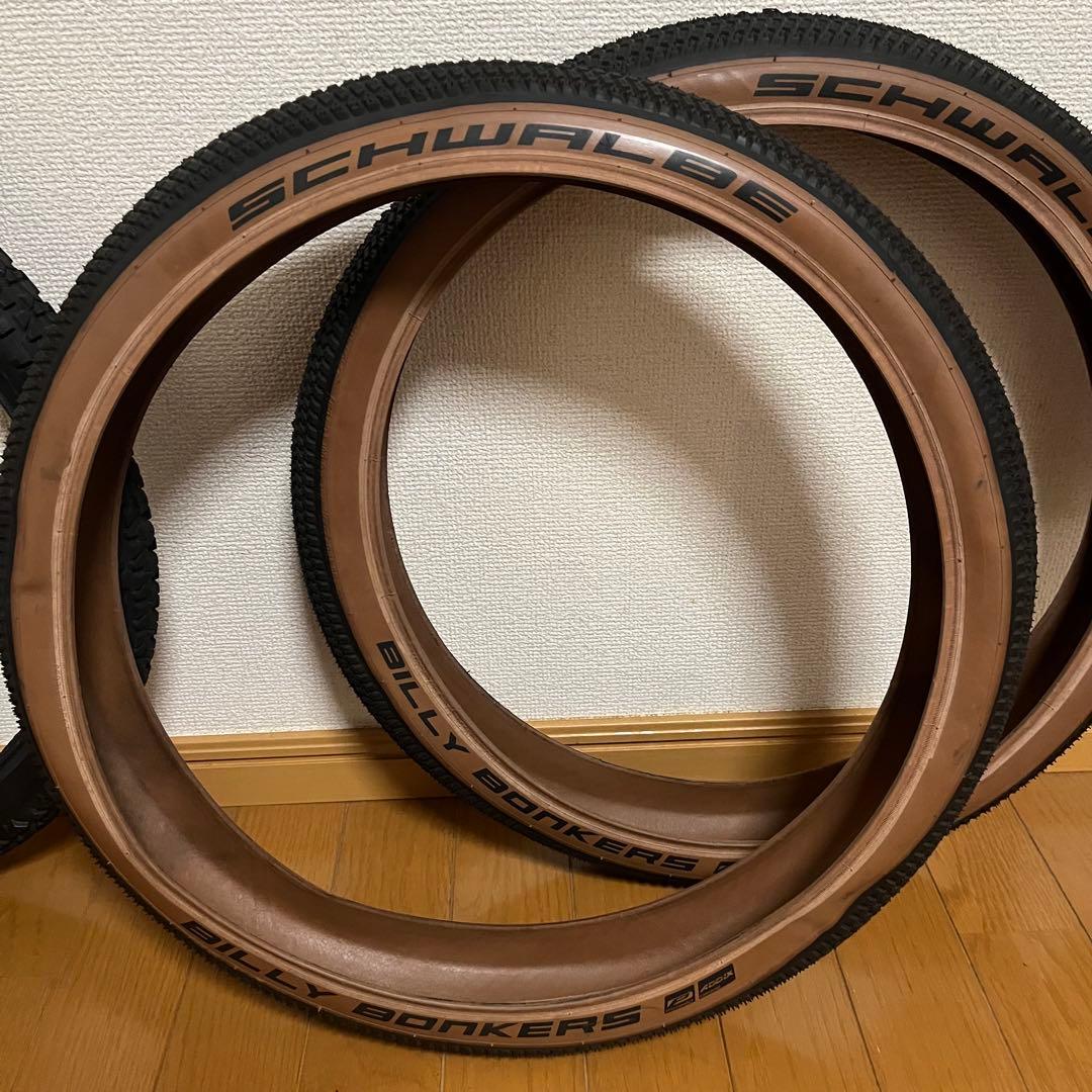 ミニベロ SCHWALBE BILLY BONKERS ＋ CST Tracer