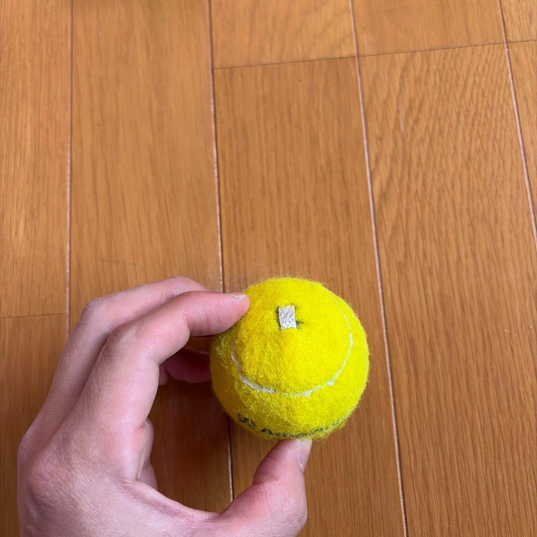 T-HIT&GET LINE RACKET 打撃トレーニングセット