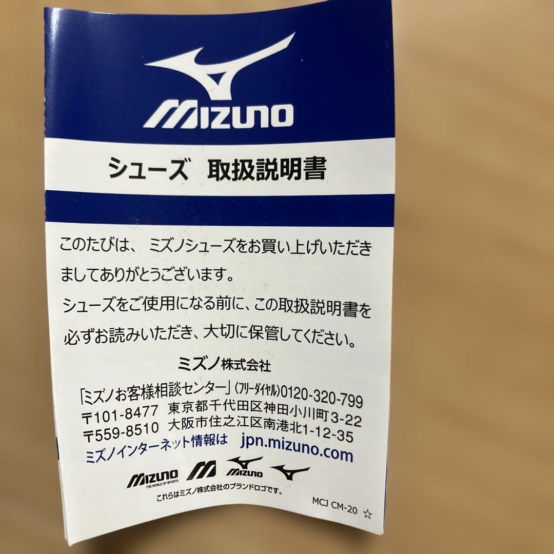 Mizuno ウェーブライダー 27 cm ランニング