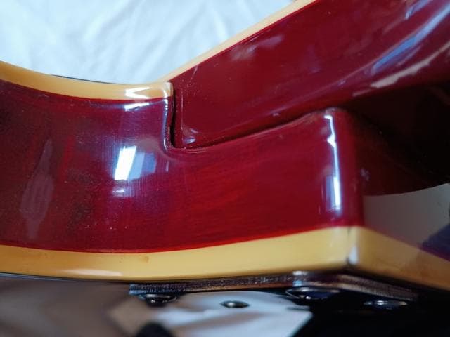 Fresher レスポール カスタム タイプ FL-331? ソフトケース