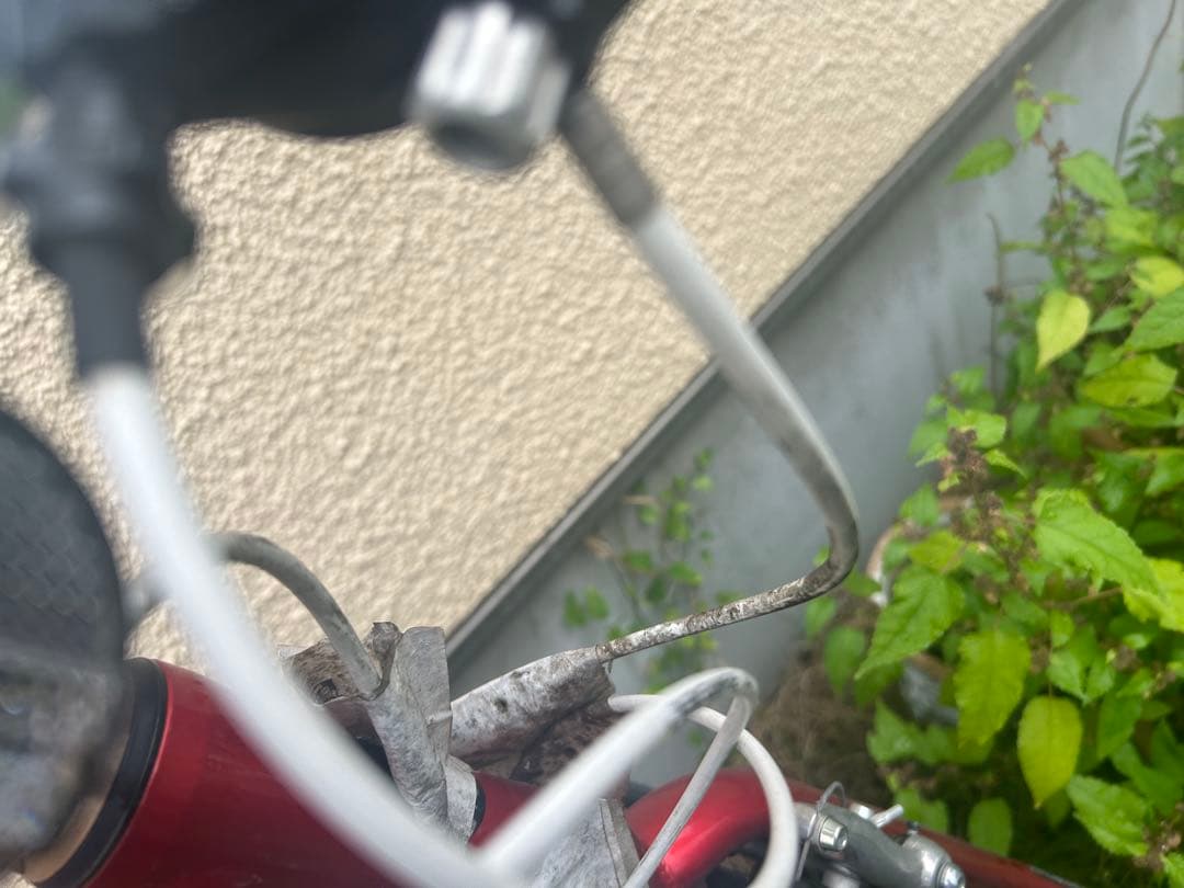 GIANT 自転車
