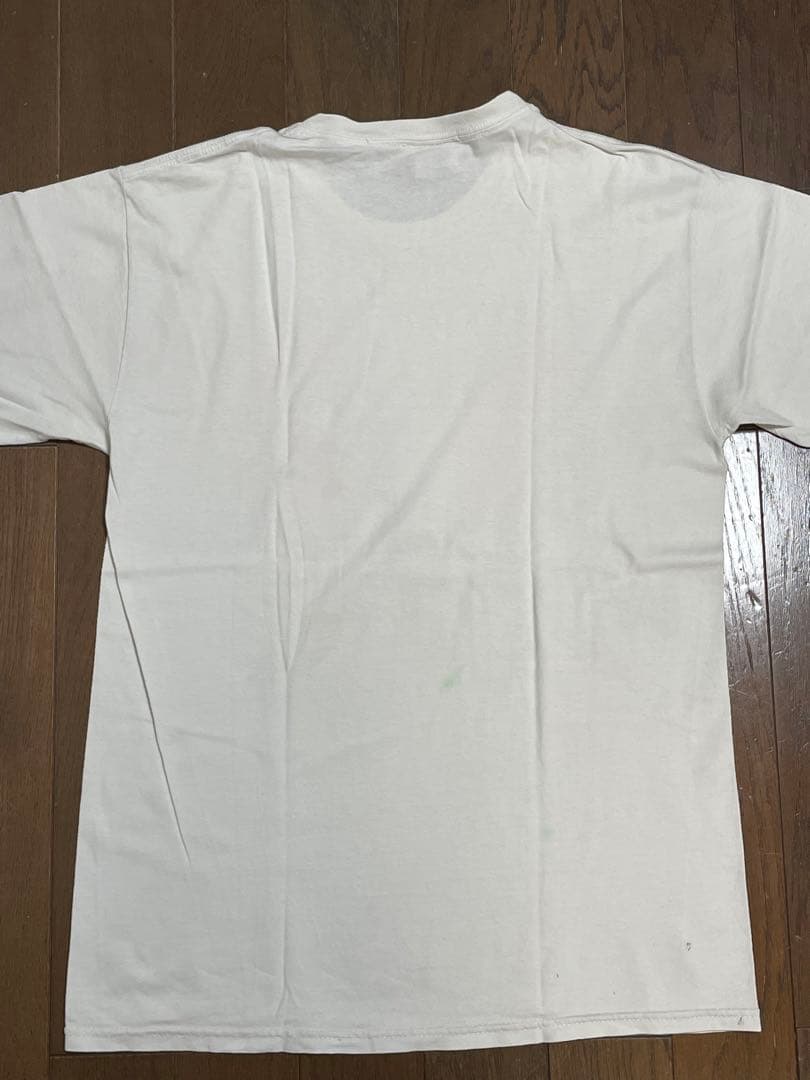 【レア'90s ビンテージ】VENTURE TRUCK Tシャツ サンタクルーズ