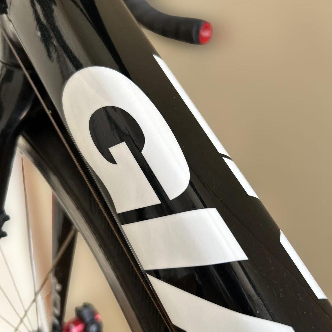GIANT TCR ALLIANCE SE Sサイズ
