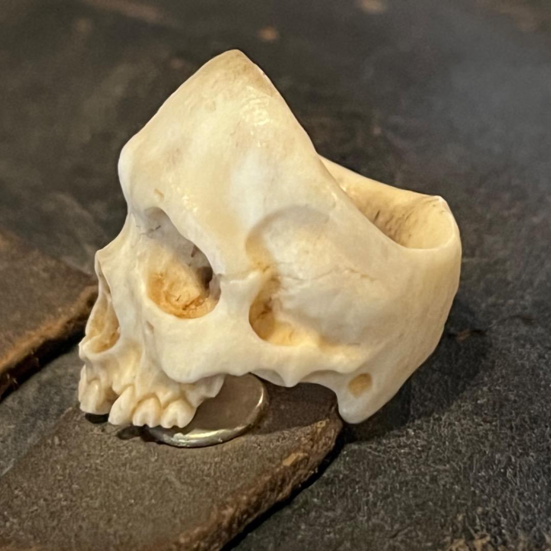 櫻井髑髏 野晒し スカルリング Skull ring バンダナ／スカーフリング