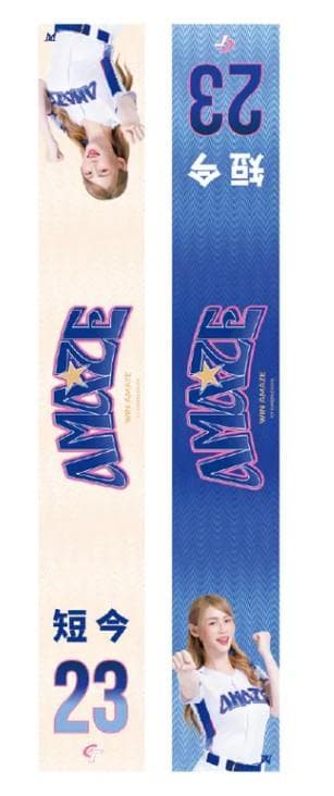 2026　WBC　23　短今　タンジン　応援　両面昇華プリントスカーフ