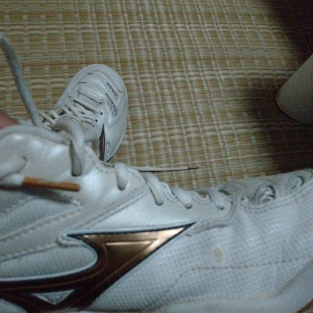 ミズノ　バドミントン　ウエーブファングプロ　26.0 ホワイトxゴールド