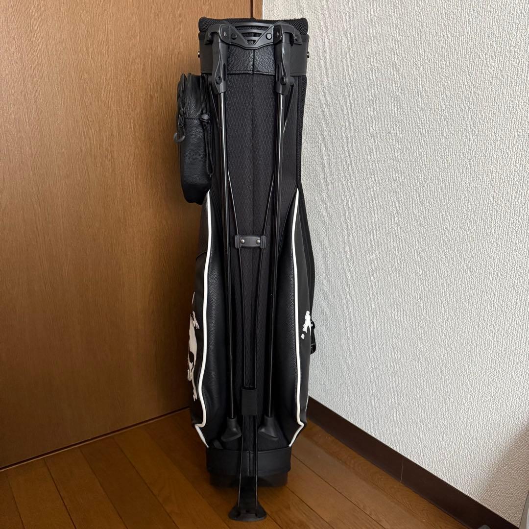オークリー　スタンドキャディバッグ　ゴルフボール付