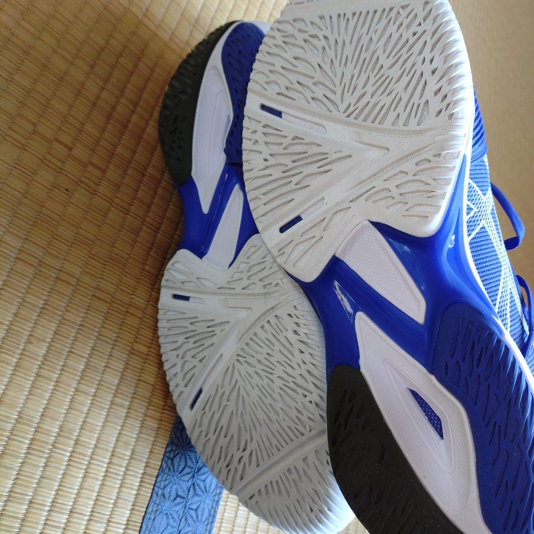 アシックス SOLUTION SPEED FF3 29cm 青 テニスシューズ