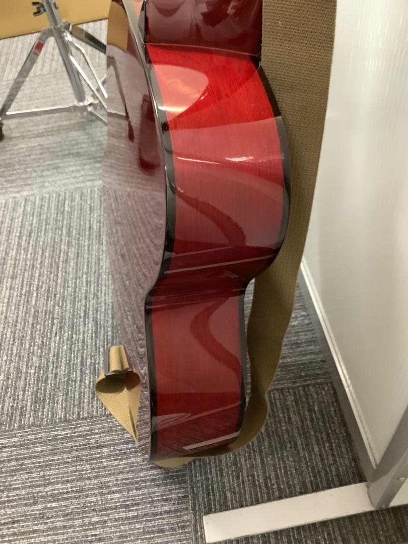 タカミネ T-FOASTR アコースティックギター ケース付き