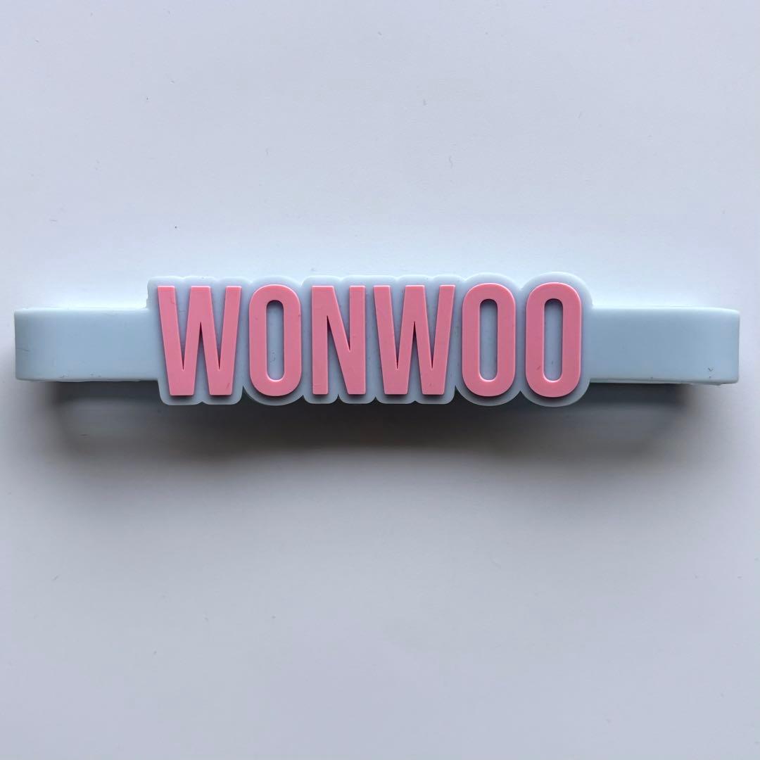seventeen ペンライトアクセサリー ラバーバンド　ウォヌ