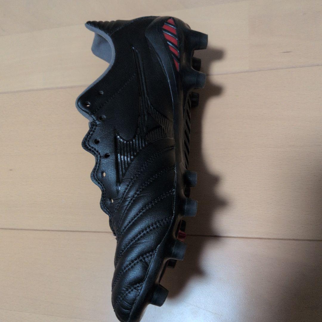 シューズ MizunoMonarcidaNeo