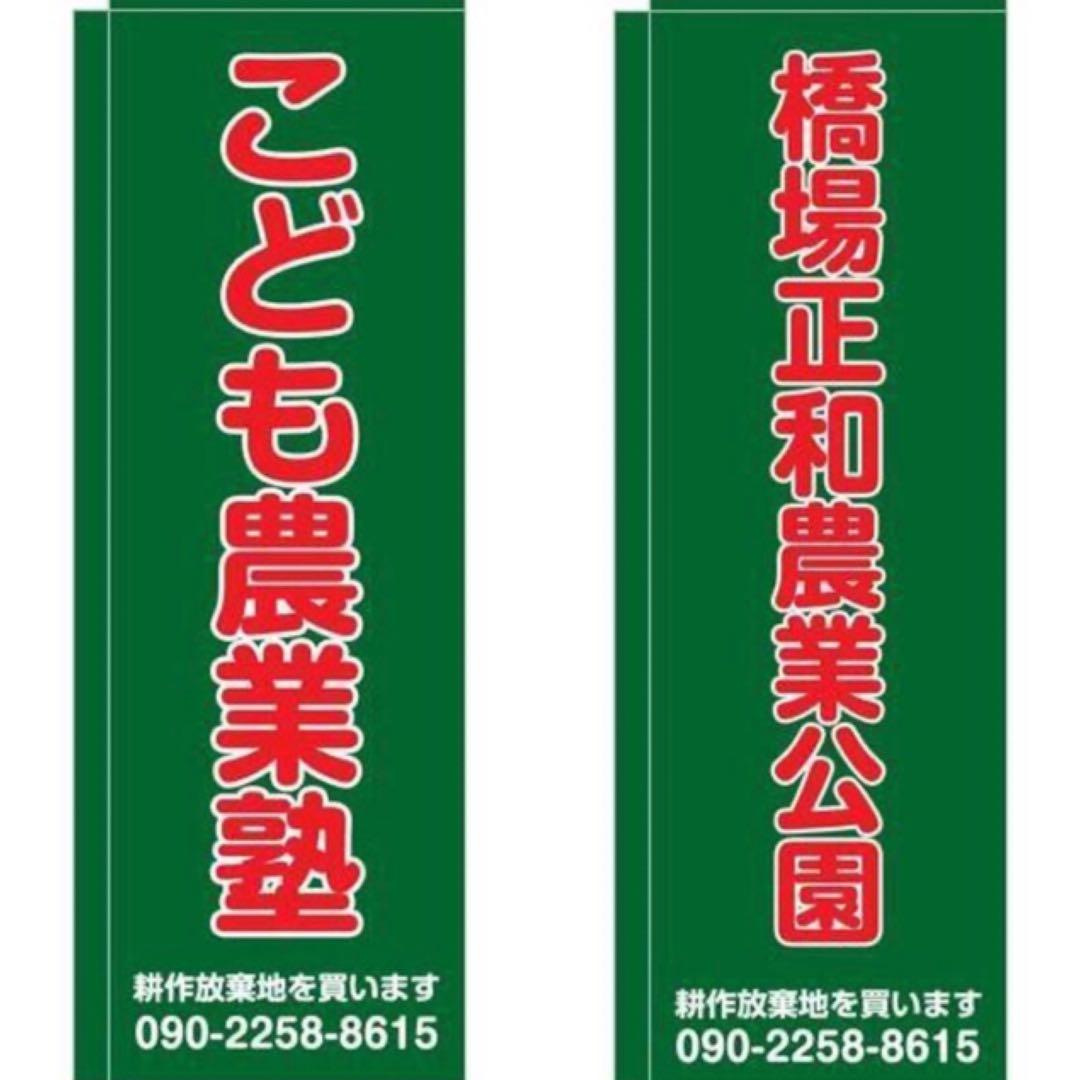 著名人シリーズ【読売巨人軍 ジャイアンツ 長嶋茂雄　王貞治　張本勲　鉄製トレイ】