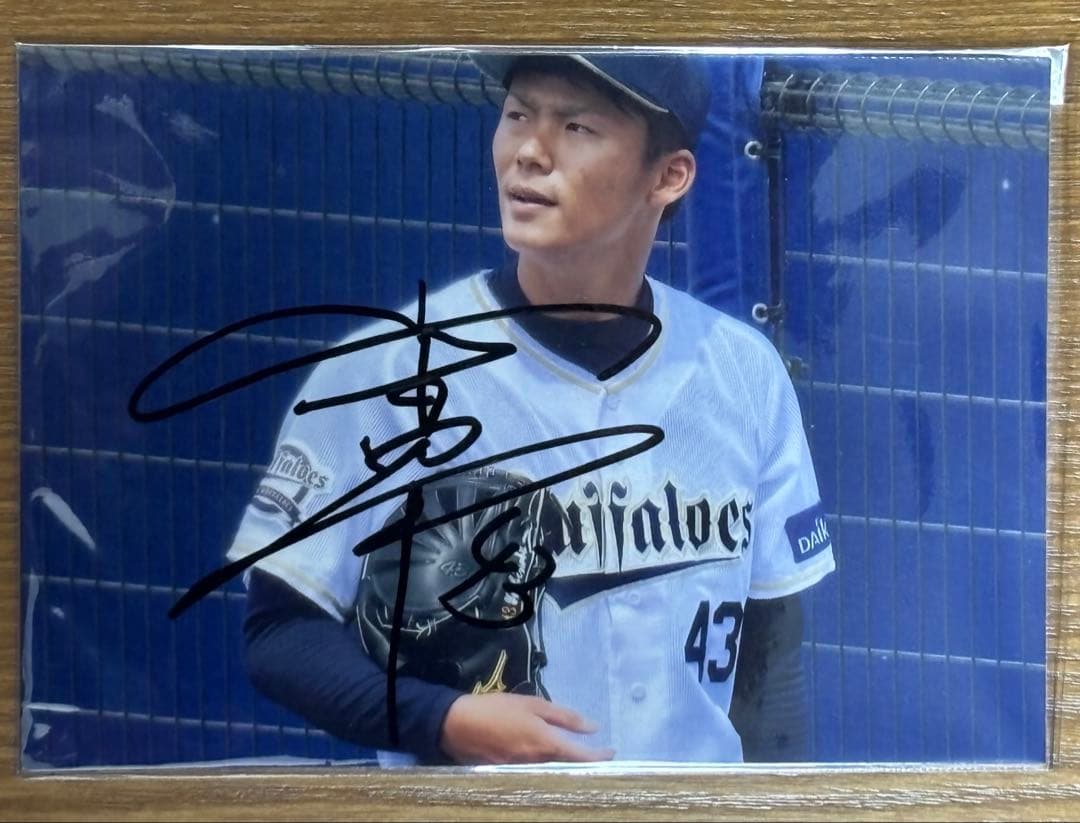 山本由伸投手　直筆サイン入　Ｌ版生写真　オリックス背番号43時代　新品額入