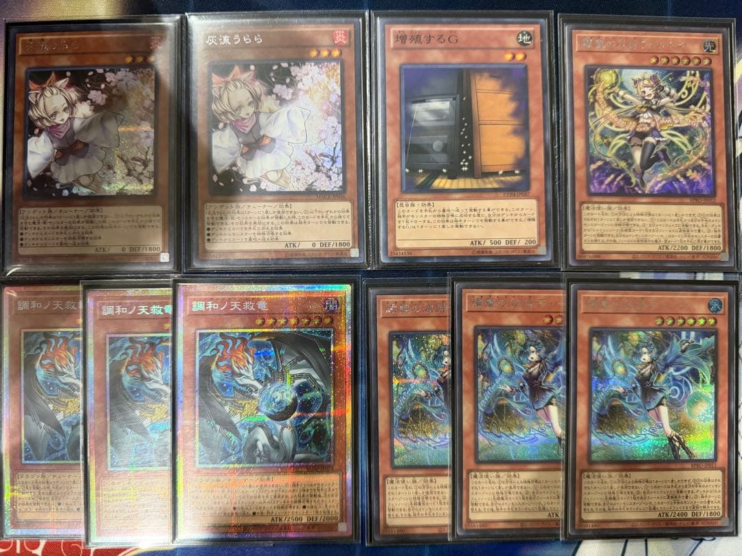 遊戯王OCG 耀聖　エルフェンノーツ　デッキ